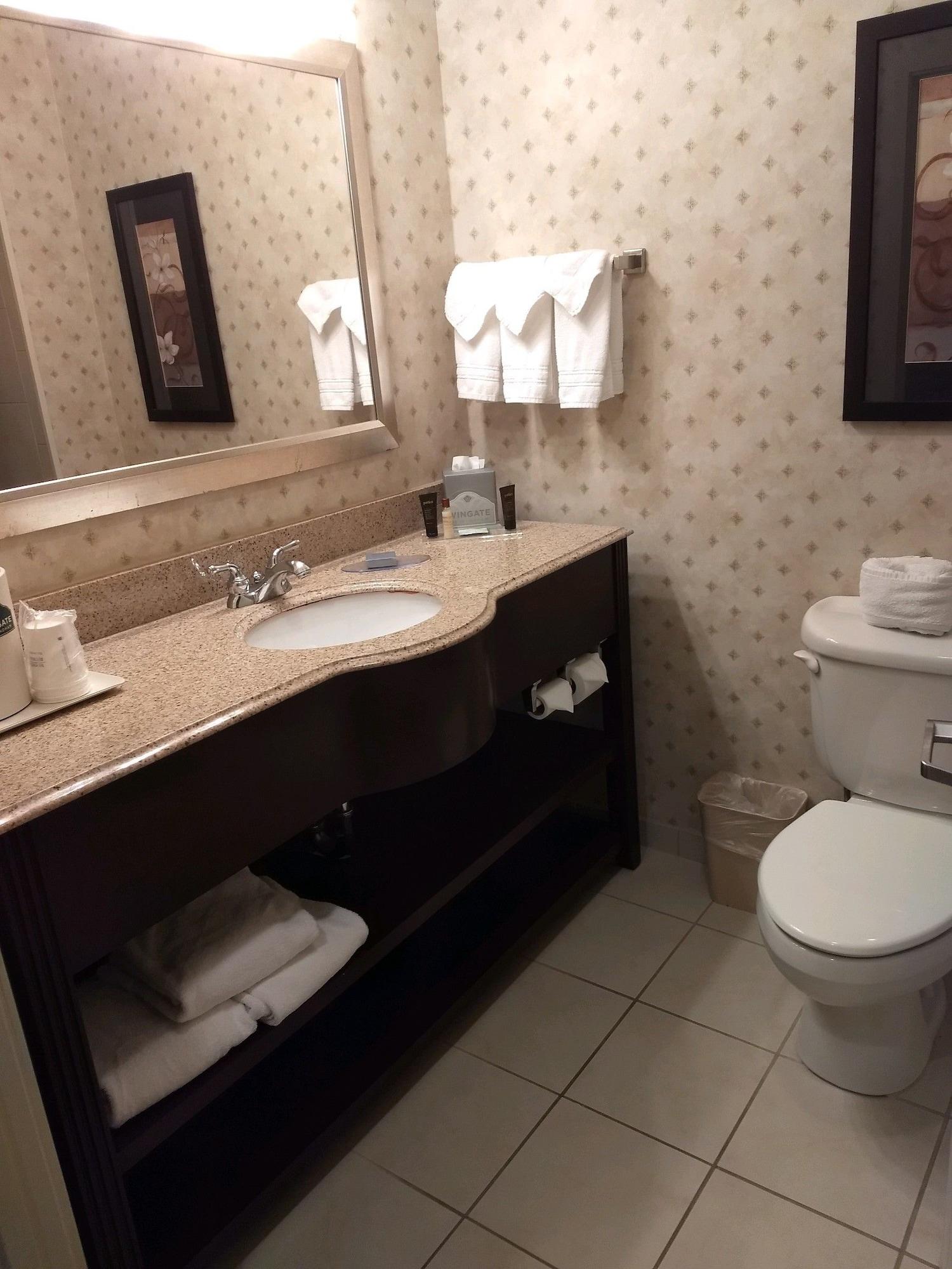 Wingate By Wyndham 3* New Braunfels