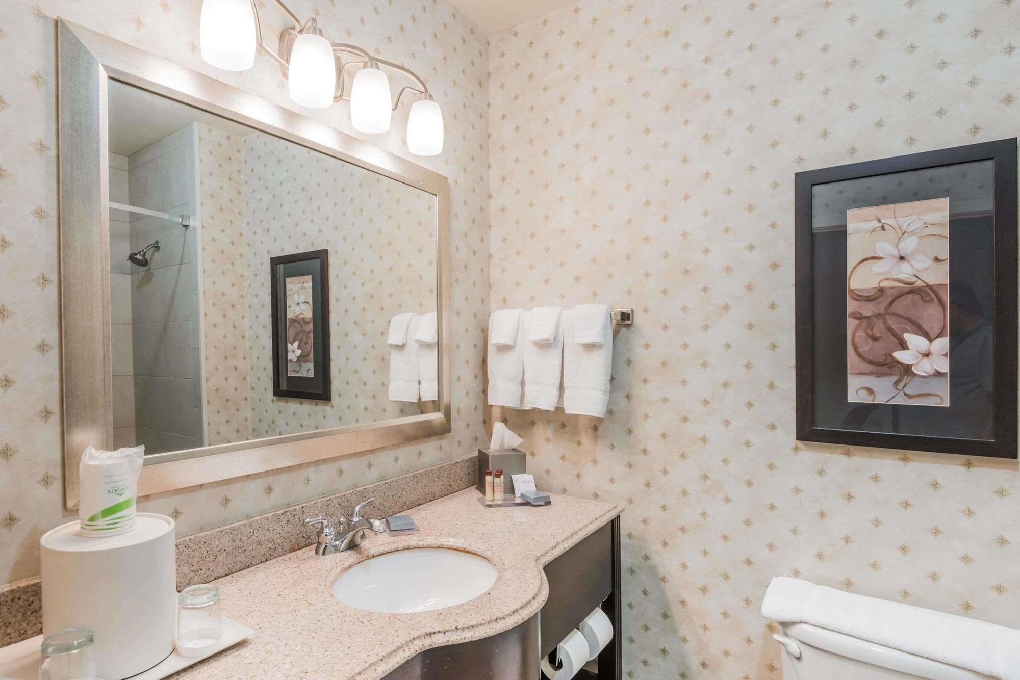 Wingate By Wyndham 3* New Braunfels